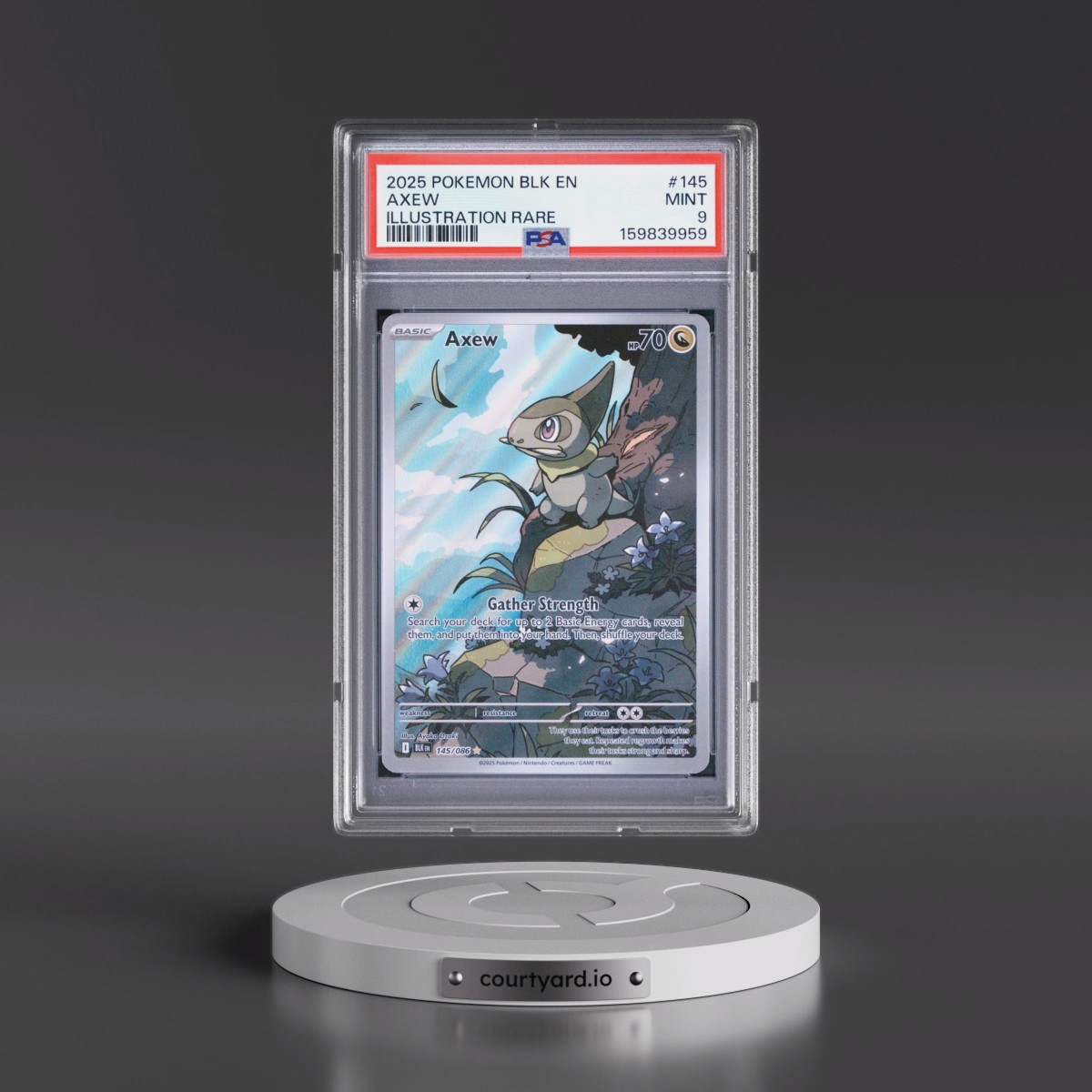 2025 Pokémon Blk EN-Black Bolt #145 Axew - Illustration Rare (PSA 9 MINT)