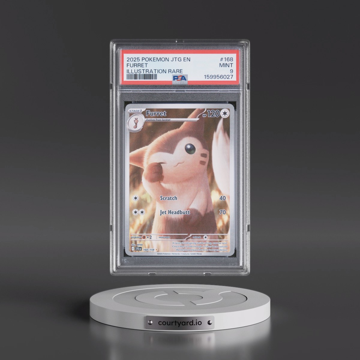 2025 Pokémon Jtg EN-Journey Together #168 Furret - Illustration Rare (PSA 9 MINT)