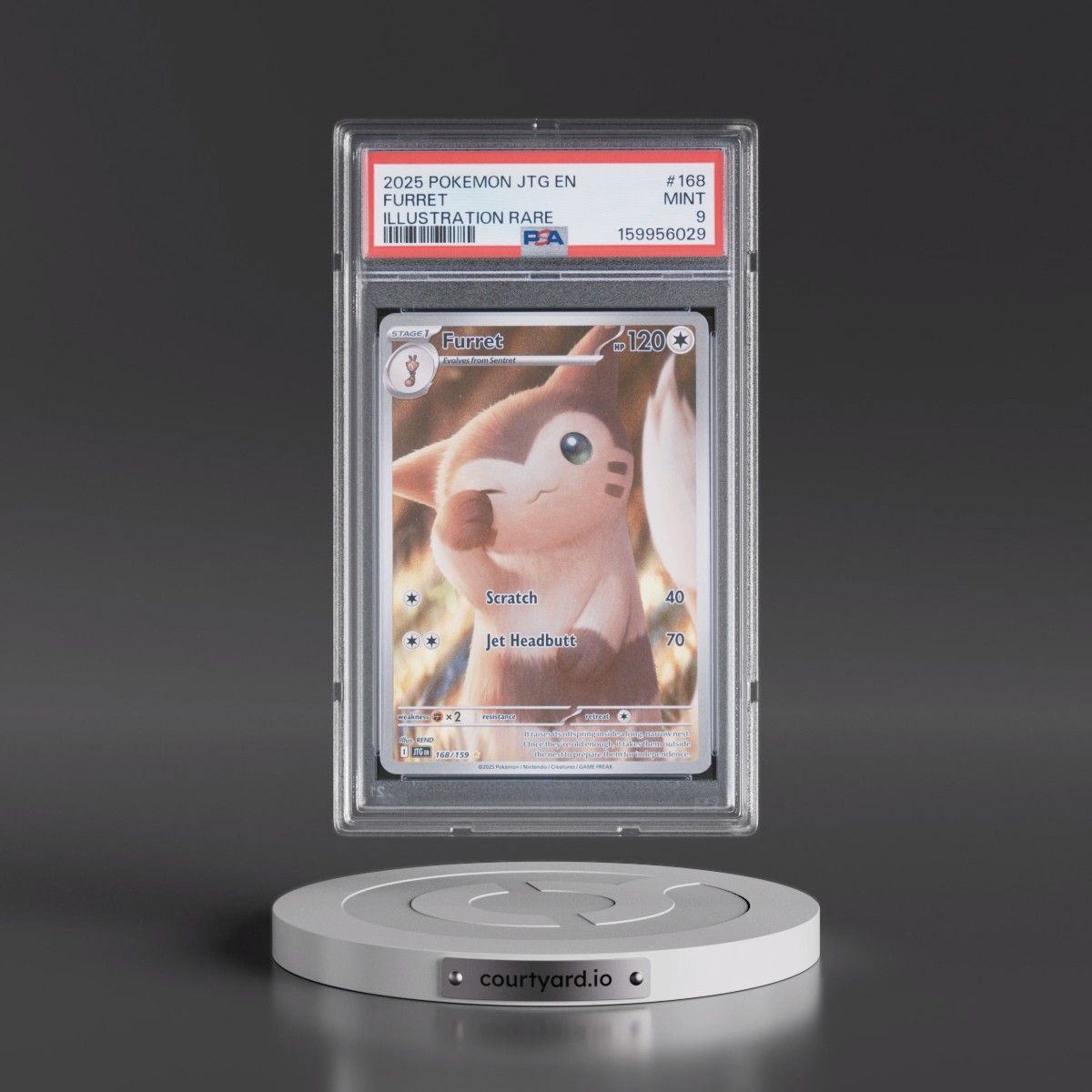 2025 Pokémon Jtg EN-Journey Together #168 Furret - Illustration Rare (PSA 9 MINT)