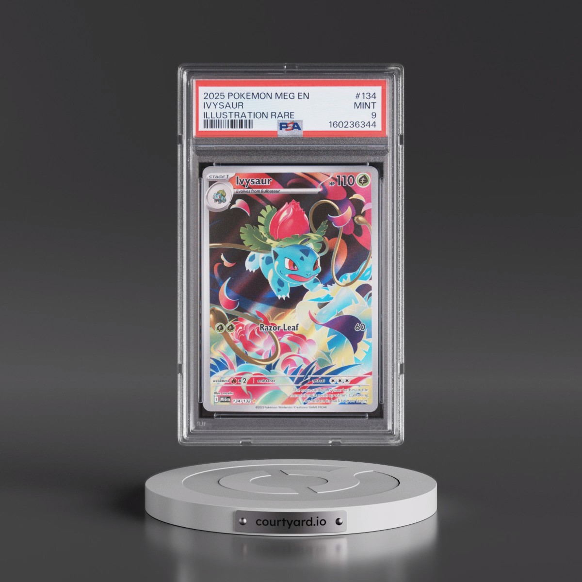 2025 Pokémon Meg EN-Mega Evolution #134 Ivysaur - Illustration Rare (PSA 9 MINT)