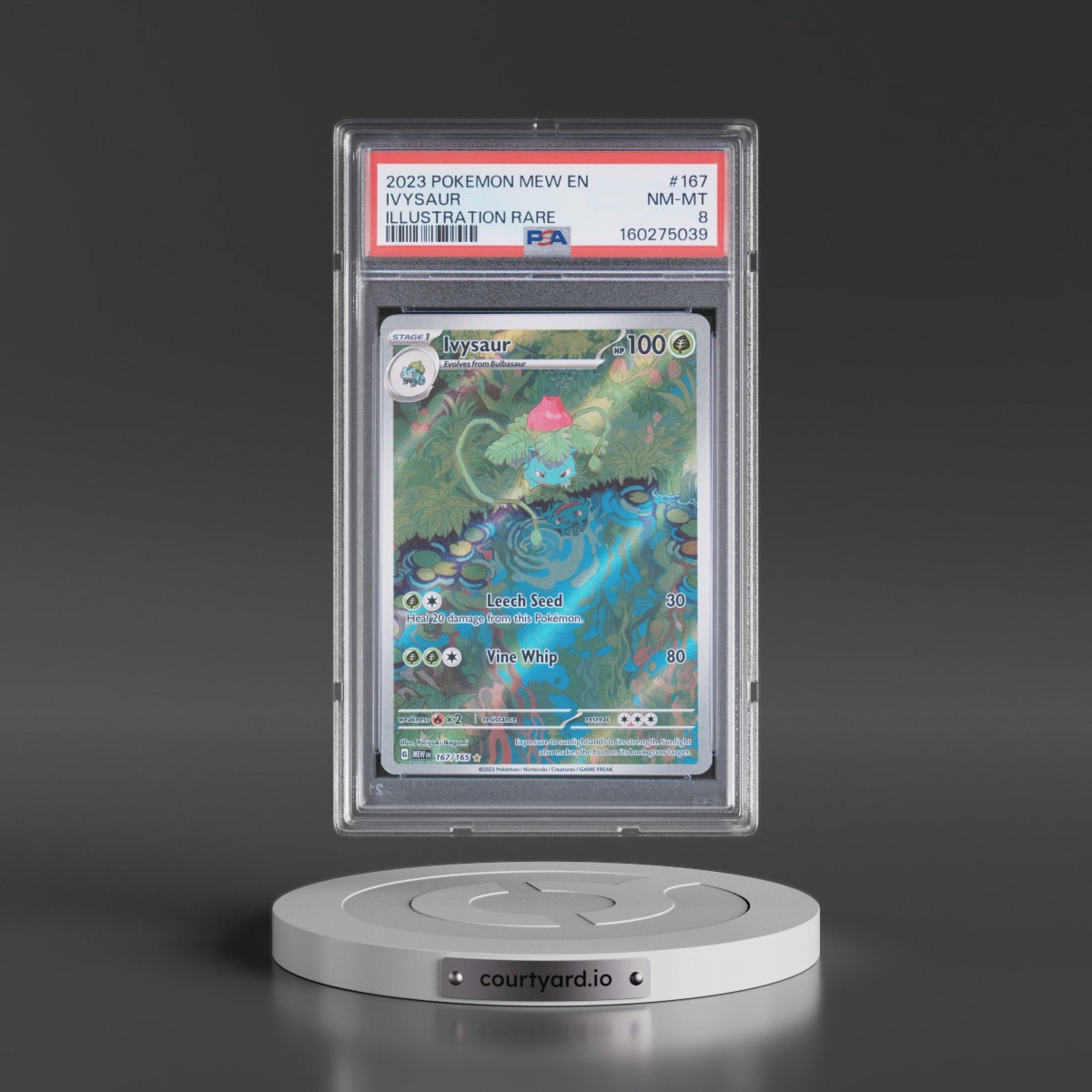 2023 Pokémon Mew EN-151 #167 Ivysaur - Illustration Rare (PSA 8 NM-MT)