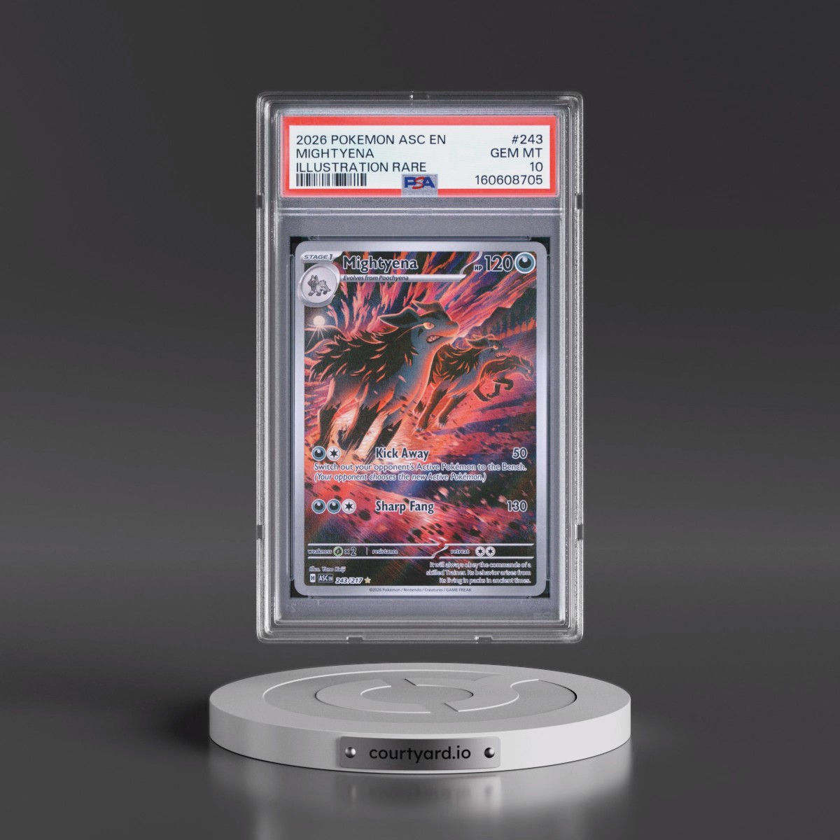 2026 Pokémon Asc EN-Ascended Heroes #243 Mightyena - Illustration Rare (PSA 10 GEM MINT)