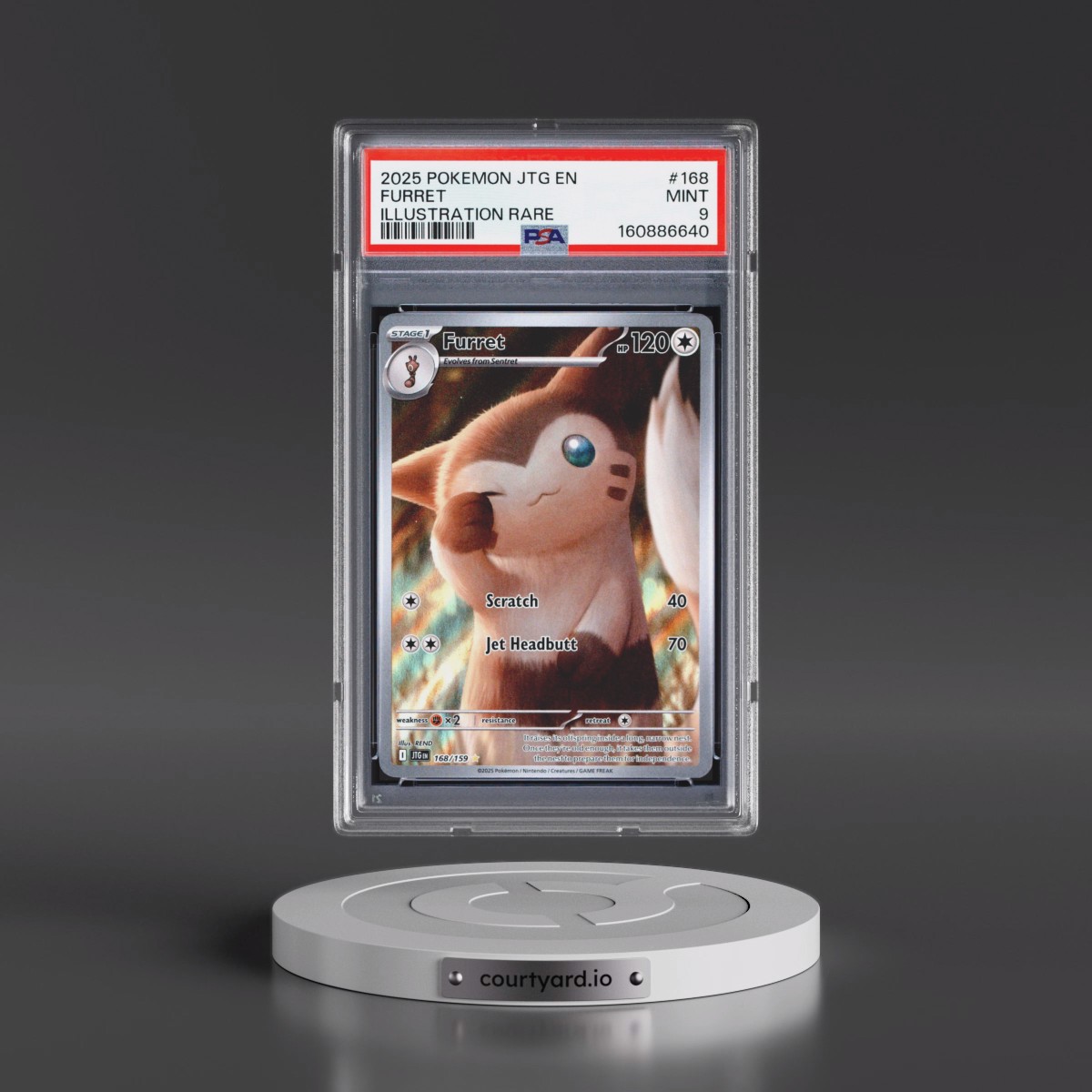 2025 Pokémon Jtg EN-Journey Together #168 Furret - Illustration Rare (PSA 9 MINT)