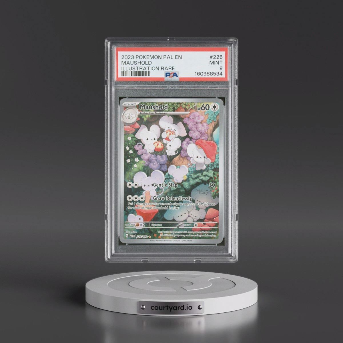2023 Pokémon Pal EN-Paldea Evolved #226 Maushold - Illustration Rare (PSA 9 MINT)
