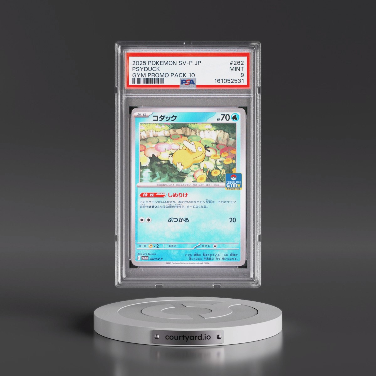 2025 Pokémon SV-P Promo #262 Psyduck - Gym Promo Pack 10 (PSA 9 MINT)