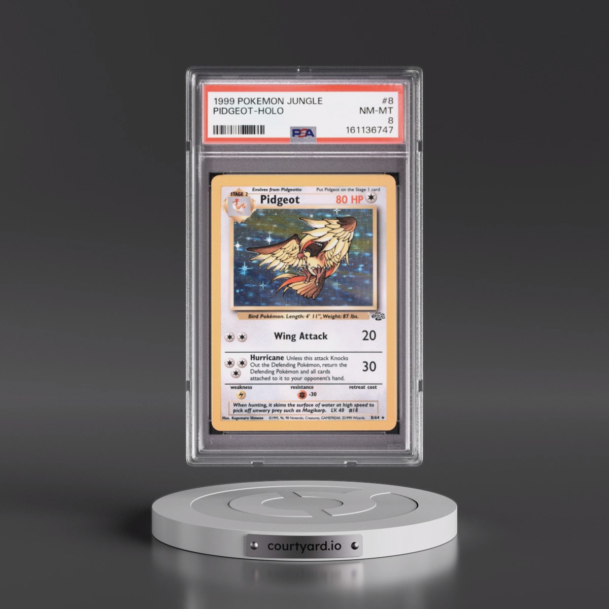 1999 Pokémon Jungle #8 Pidgeot - Holo (PSA 8 NM-MT)