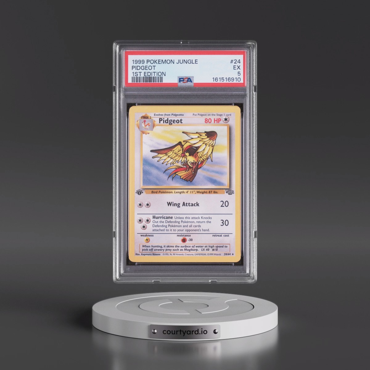 1999 Pokémon Jungle #24 Pidgeot - 1st Edition (PSA 5 EX)