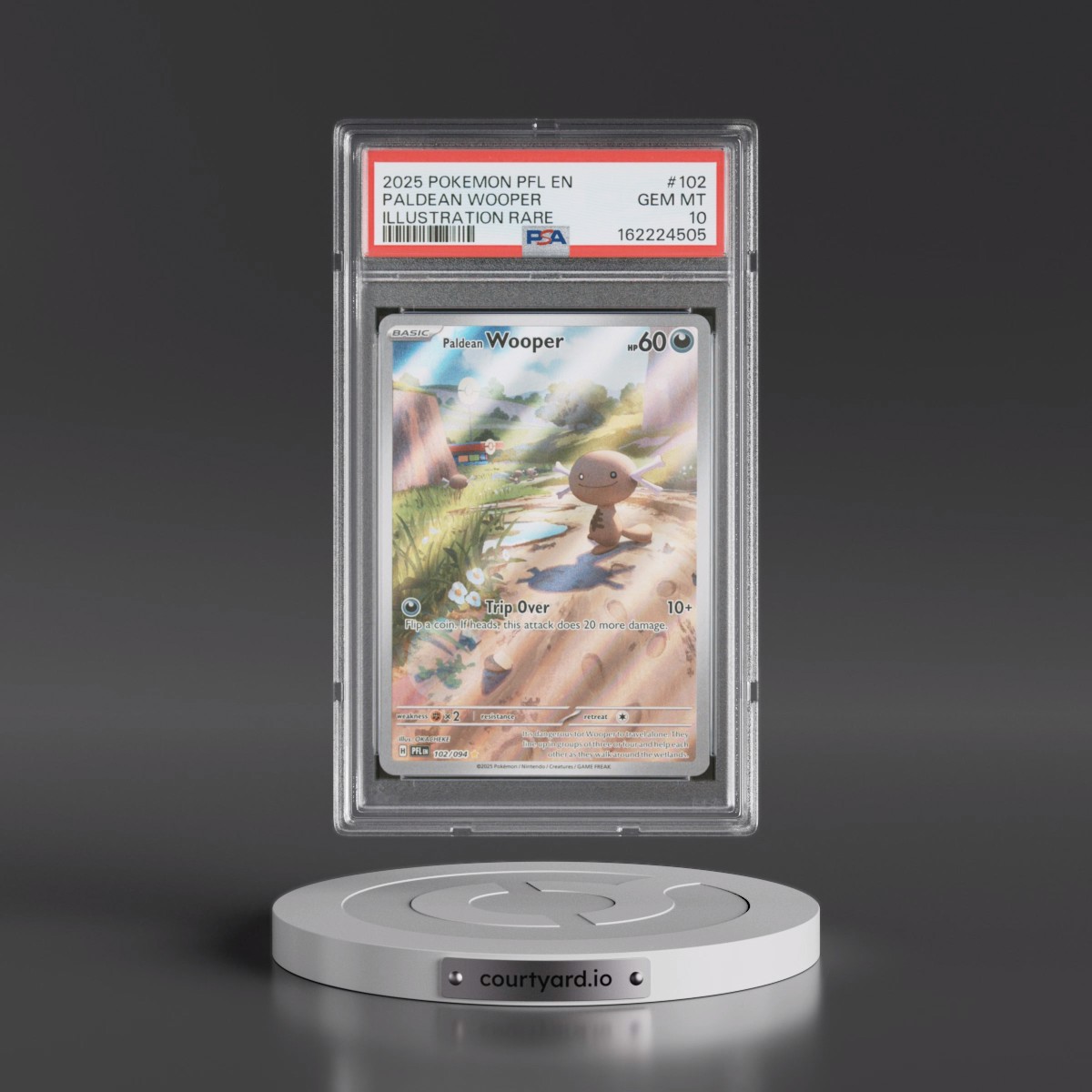2025 Pokémon Pfl EN-Phantasmal Flames #102 Paldean Wooper - Illustration Rare (PSA 10 GEM MINT)