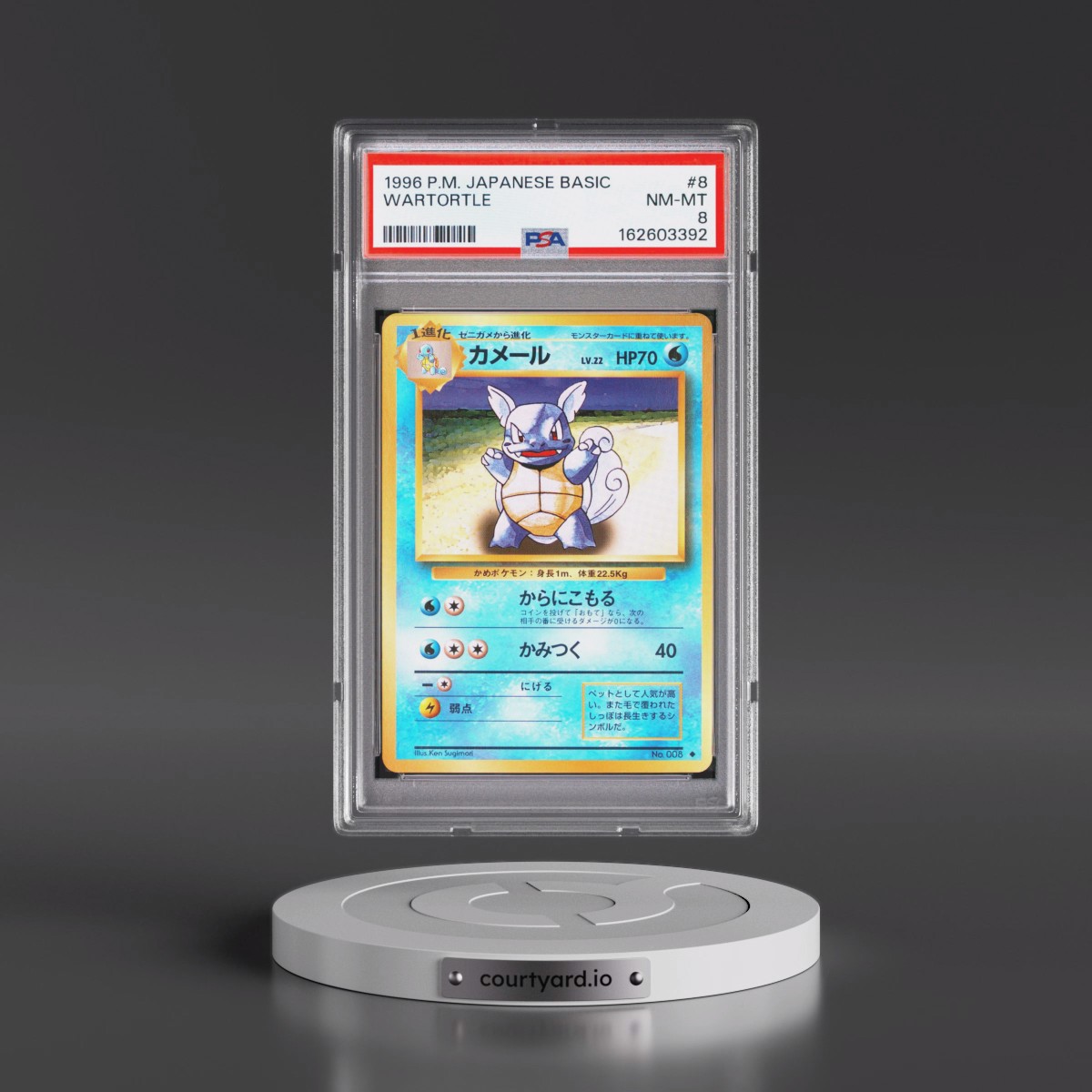 1996 Pokémon Basic #8 Wartortle (PSA 8 NM-MT)
