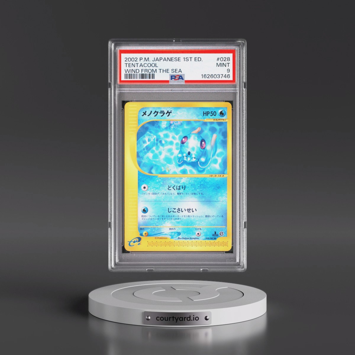 2002 Pokémon Wind From the Sea #028 Tentacool - 1st Edition (PSA 9 MINT)