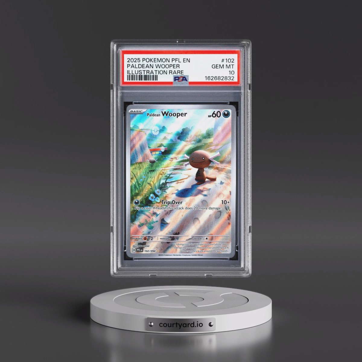 2025 Pokémon Pfl EN-Phantasmal Flames #102 Paldean Wooper - Illustration Rare (PSA 10 GEM MINT)