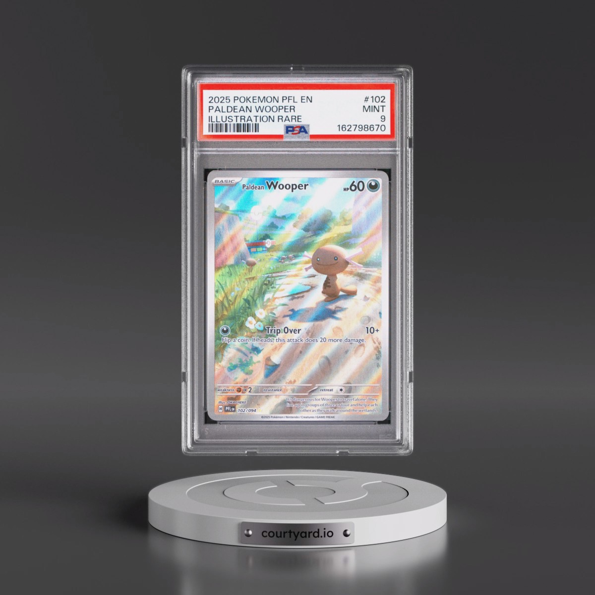 2025 Pokémon Pfl EN-Phantasmal Flames #102 Paldean Wooper - Illustration Rare (PSA 9 MINT)