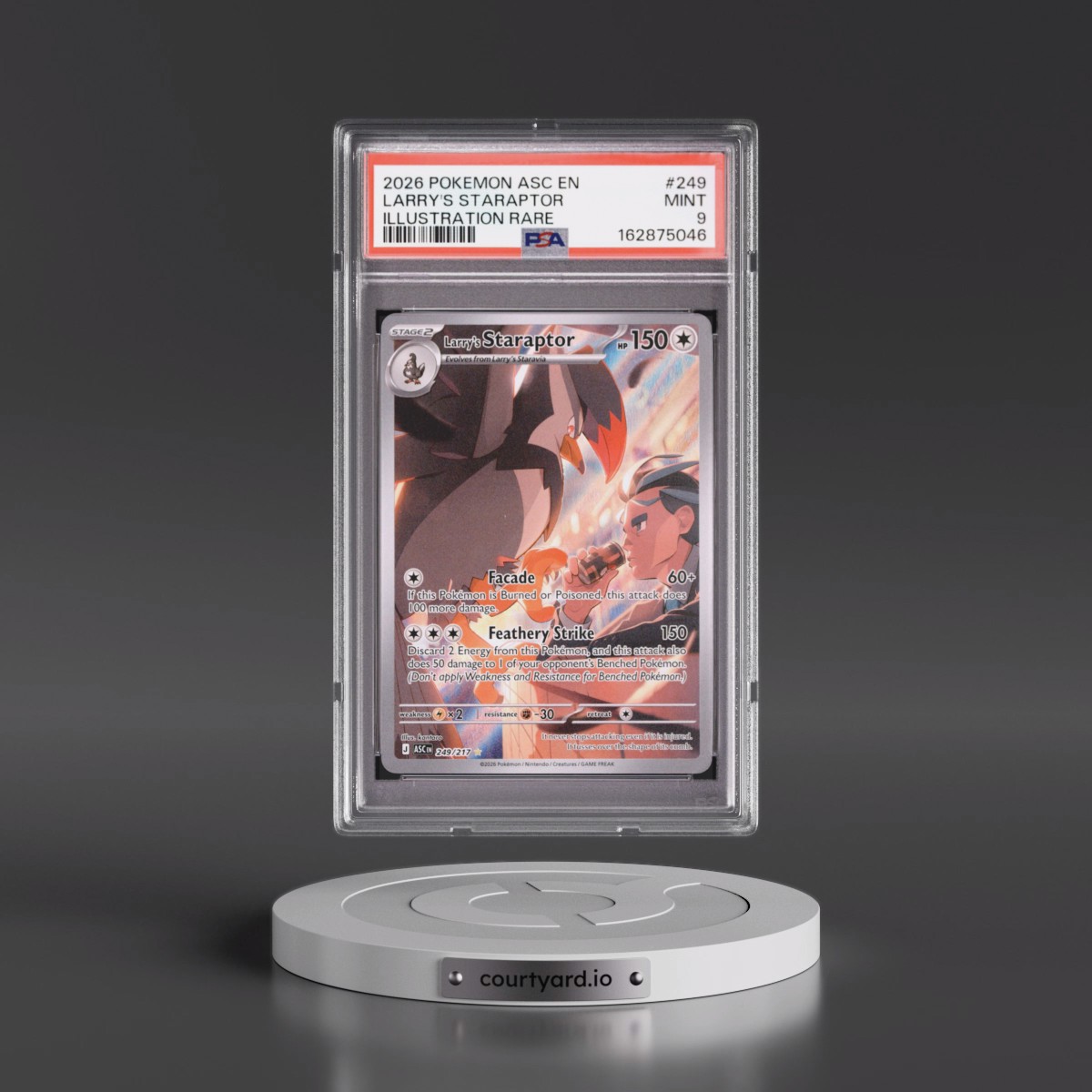 2026 Pokémon Asc EN-Ascended Heroes #249 Larry's Staraptor - Illustration Rare (PSA 9 MINT)