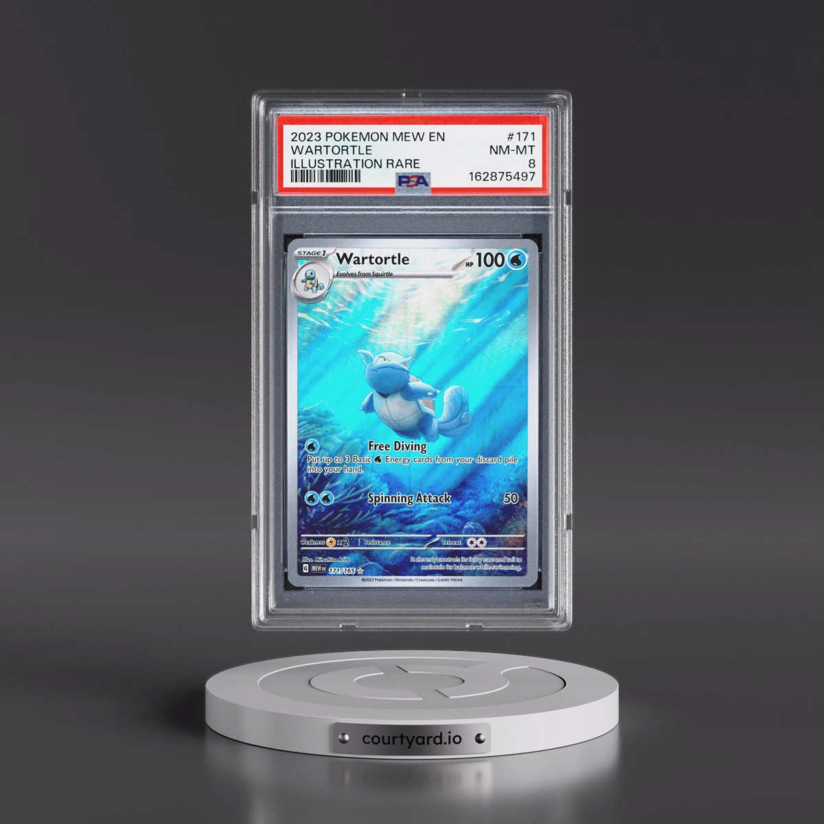 2023 Pokémon Mew EN-151 #171 Wartortle - Illustration Rare (PSA 8 NM-MT)