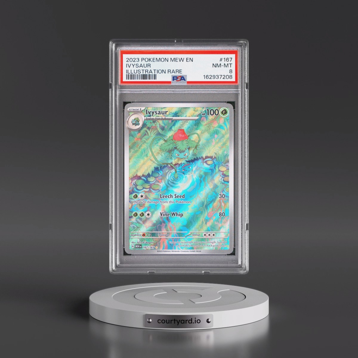 2023 Pokémon Mew EN-151 #167 Ivysaur - Illustration Rare (PSA 8 NM-MT)