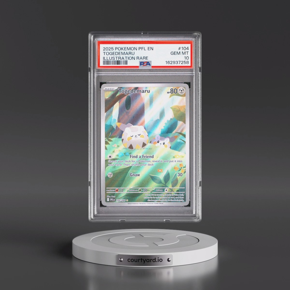 2025 Pokémon Pfl EN-Phantasmal Flames Togedemaru - Illustration Rare #104 PSA 10