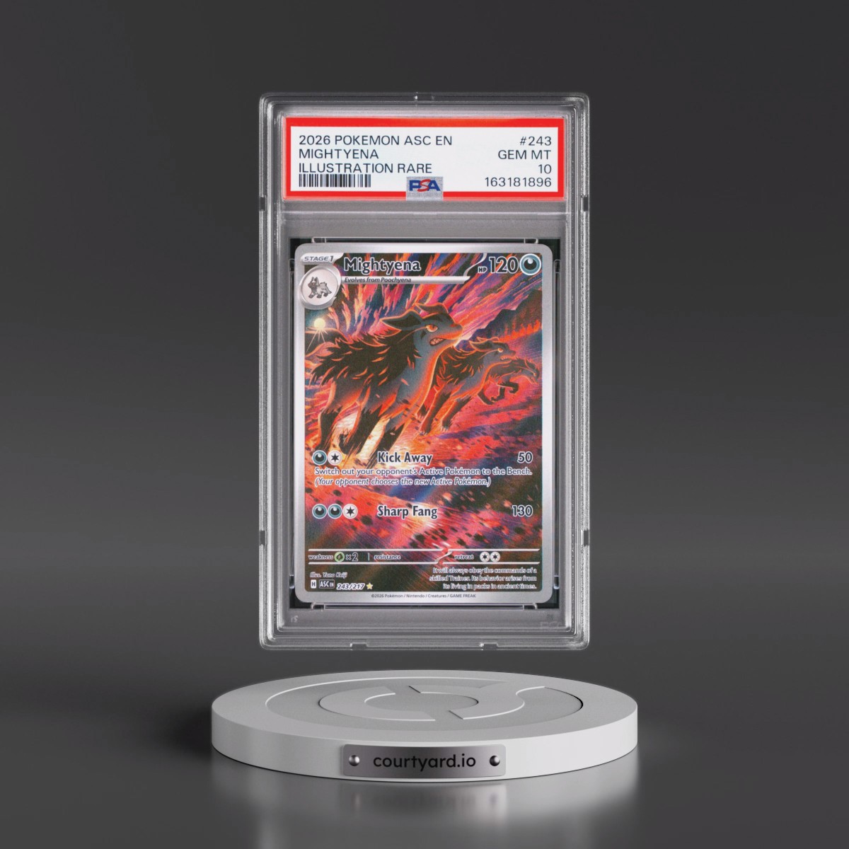 2026 Pokémon Asc EN-Ascended Heroes #243 Mightyena - Illustration Rare (PSA 10 GEM MINT)