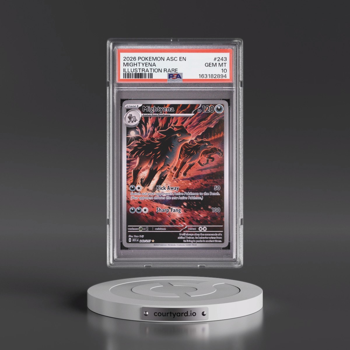 2026 Pokémon Asc EN-Ascended Heroes #243 Mightyena - Illustration Rare (PSA 10 GEM MINT)