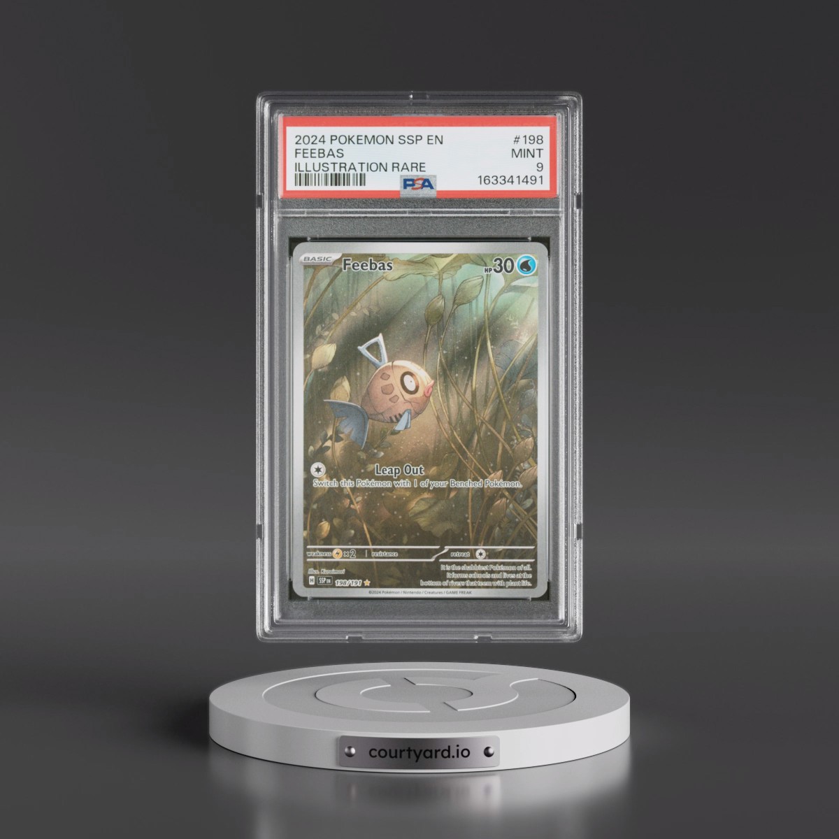 2024 Pokémon Ssp EN-Surging Sparks #198 Feebas - Illustration Rare (PSA 9 MINT)