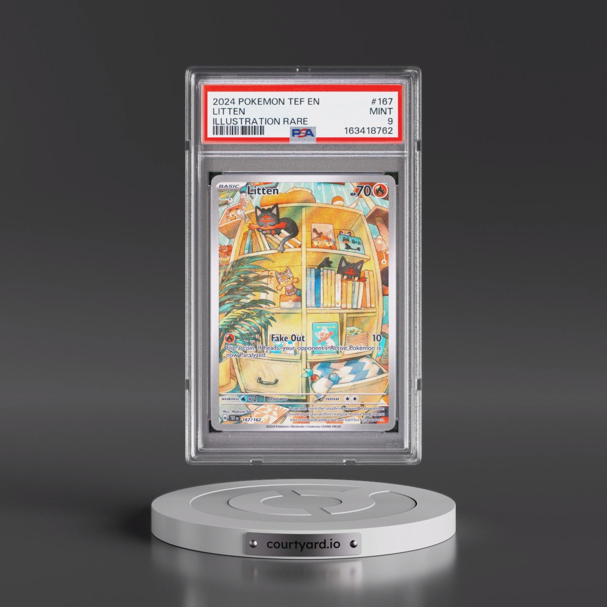 2024 Pokémon Tef EN-Temporal Forces #167 Litten - Illustration Rare (PSA 9 MINT)