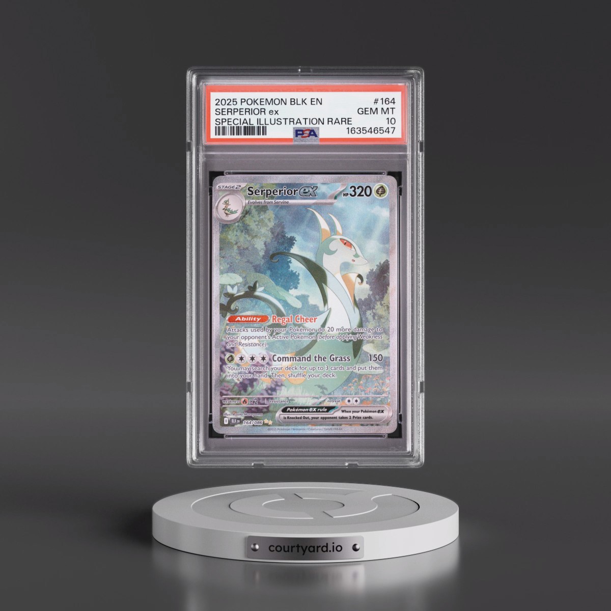 2025 Pokémon Blk EN-Black Bolt #164 Serperior EX - Holo Special Illustration Rare (PSA 10 GEM MINT)