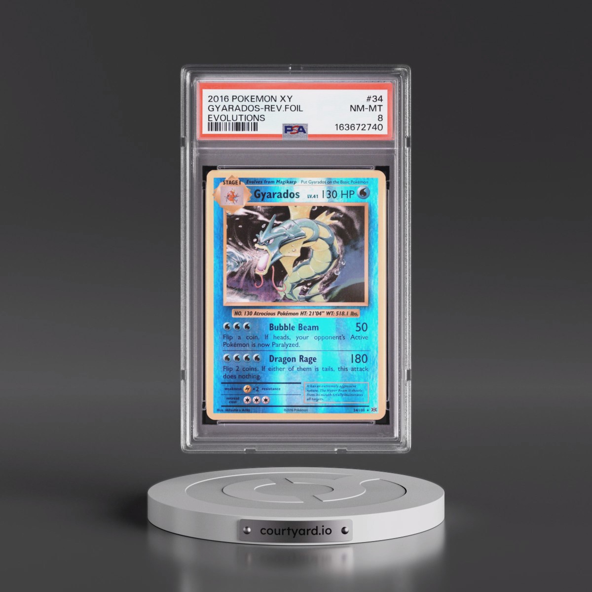 2016 Pokémon XY Evolutions #34 Gyarados - Reverse Foil (PSA 8 NM-MT)