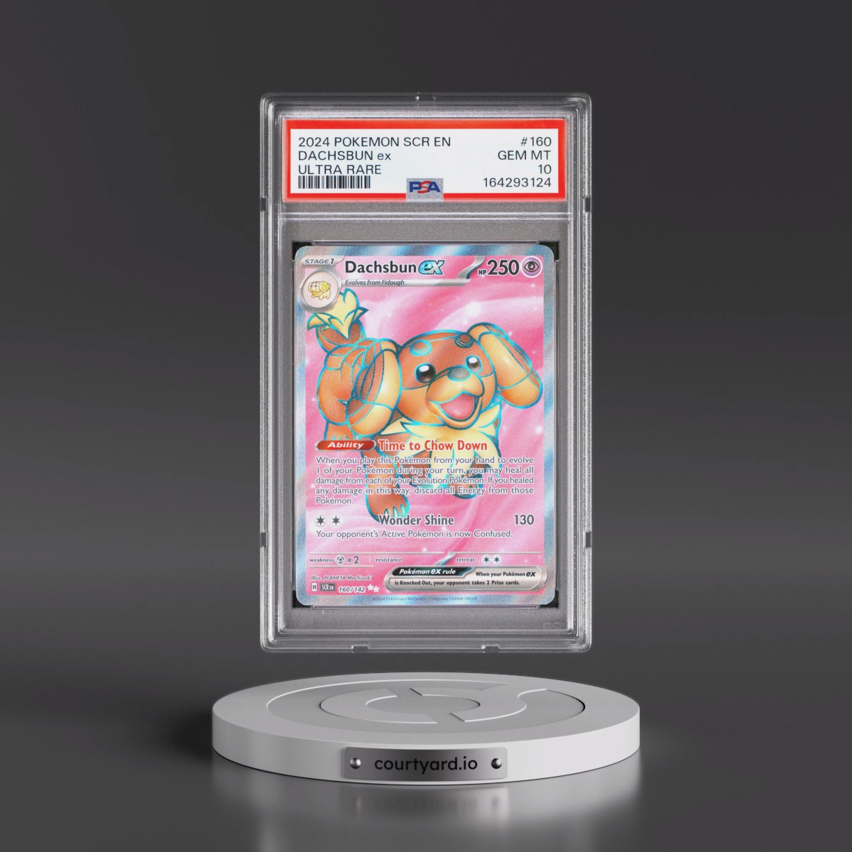 2024 Pokémon Scr EN-Stellar Crown #160 Dachsbun EX - Holo Ultra Rare (PSA 10 GEM MINT)