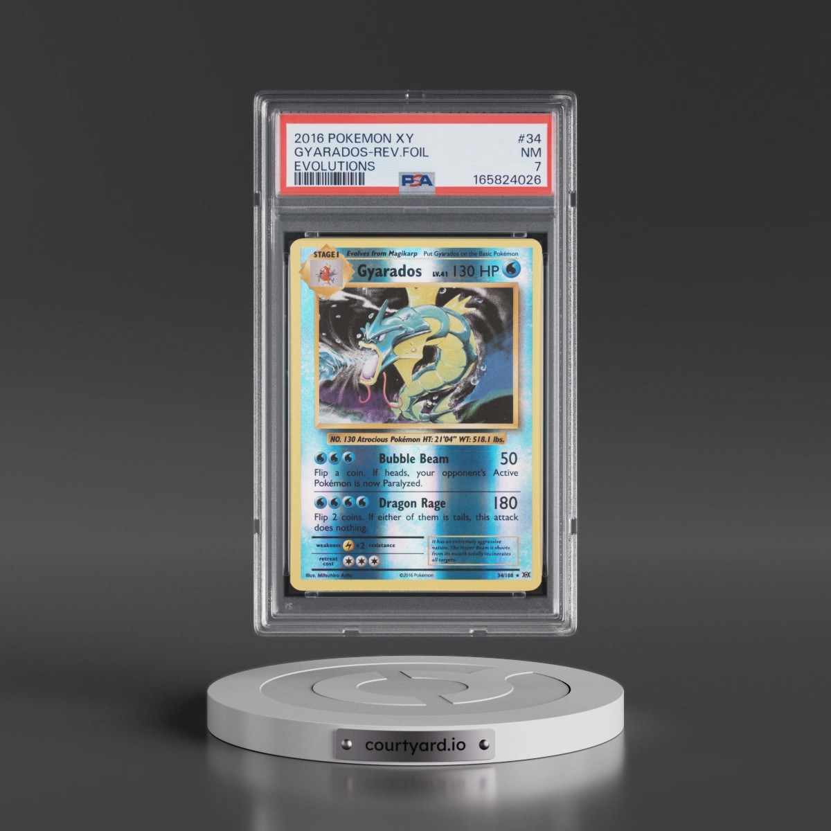 2016 Pokémon XY Evolutions #34 Gyarados - Reverse Foil (PSA 7 NM)