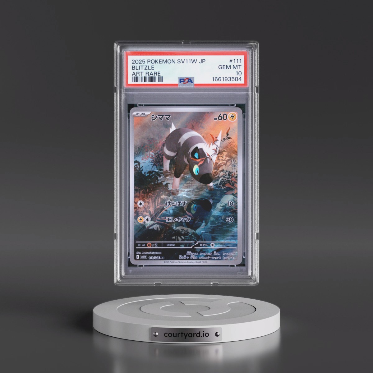 2025 Pokémon Sv11w-White Flare #111 Blitzle - Art Rare (PSA 10 GEM MINT)