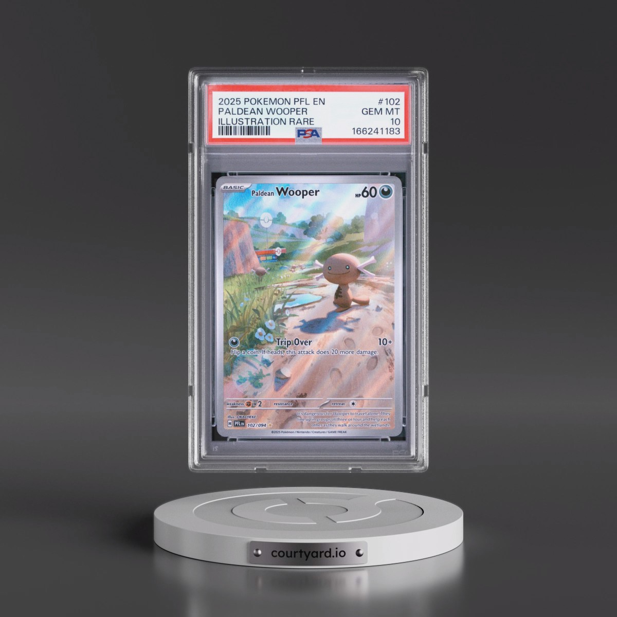 2025 Pokémon Pfl EN-Phantasmal Flames #102 Paldean Wooper - Illustration Rare (PSA 10 GEM MINT)
