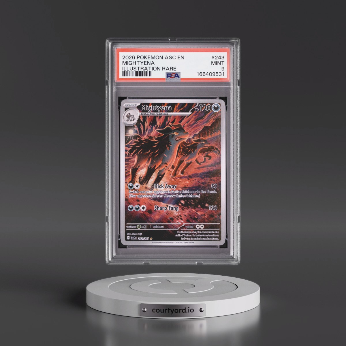 2026 Pokémon Asc EN-Ascended Heroes #243 Mightyena - Illustration Rare (PSA 9 MINT)