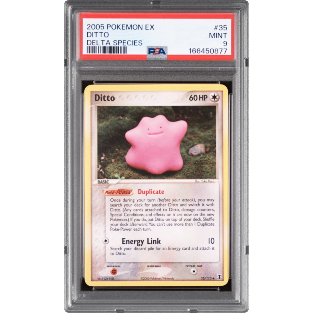 Ditto card artwork