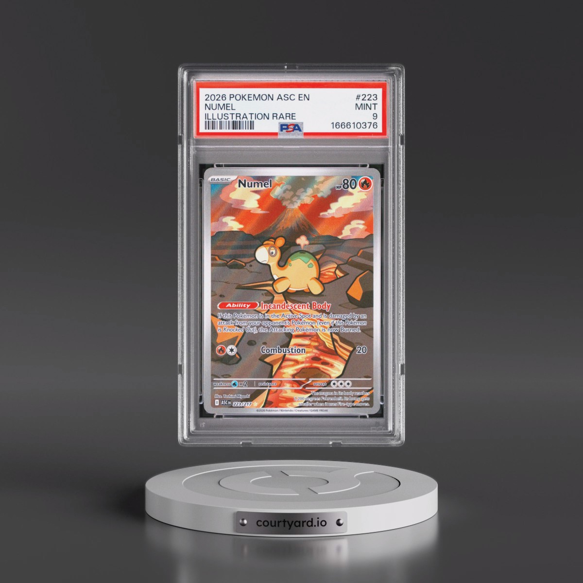 2026 Pokémon Asc EN-Ascended Heroes #223 Numel - Illustration Rare (PSA 9 MINT)