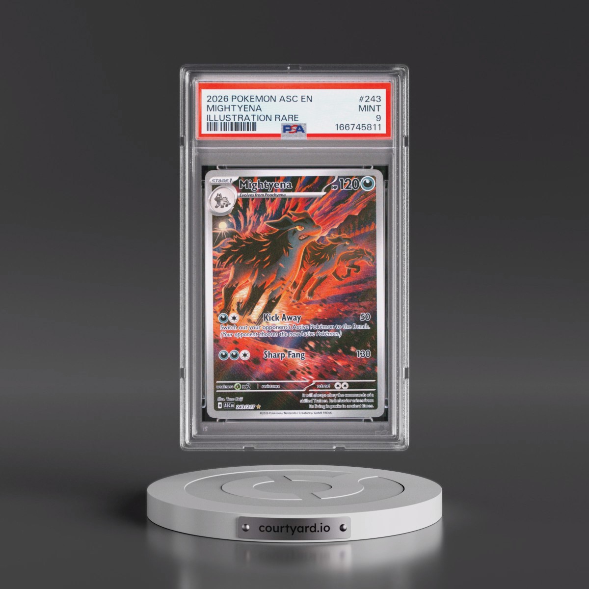 2026 Pokémon Asc EN-Ascended Heroes #243 Mightyena - Illustration Rare (PSA 9 MINT)