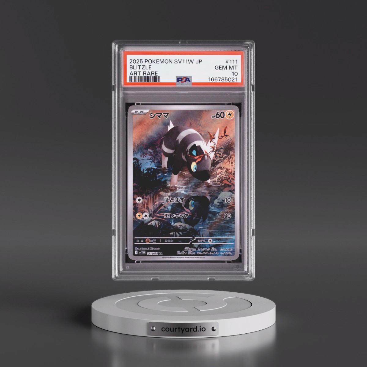 2025 Pokémon Sv11w-White Flare #111 Blitzle - Art Rare (PSA 10 GEM MINT)