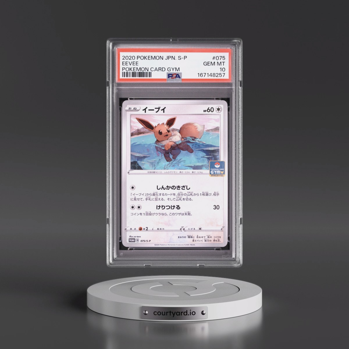 2020 Pokémon S Promo #075 Eevee - Pokemon Card Gym (PSA 10 GEM MINT)