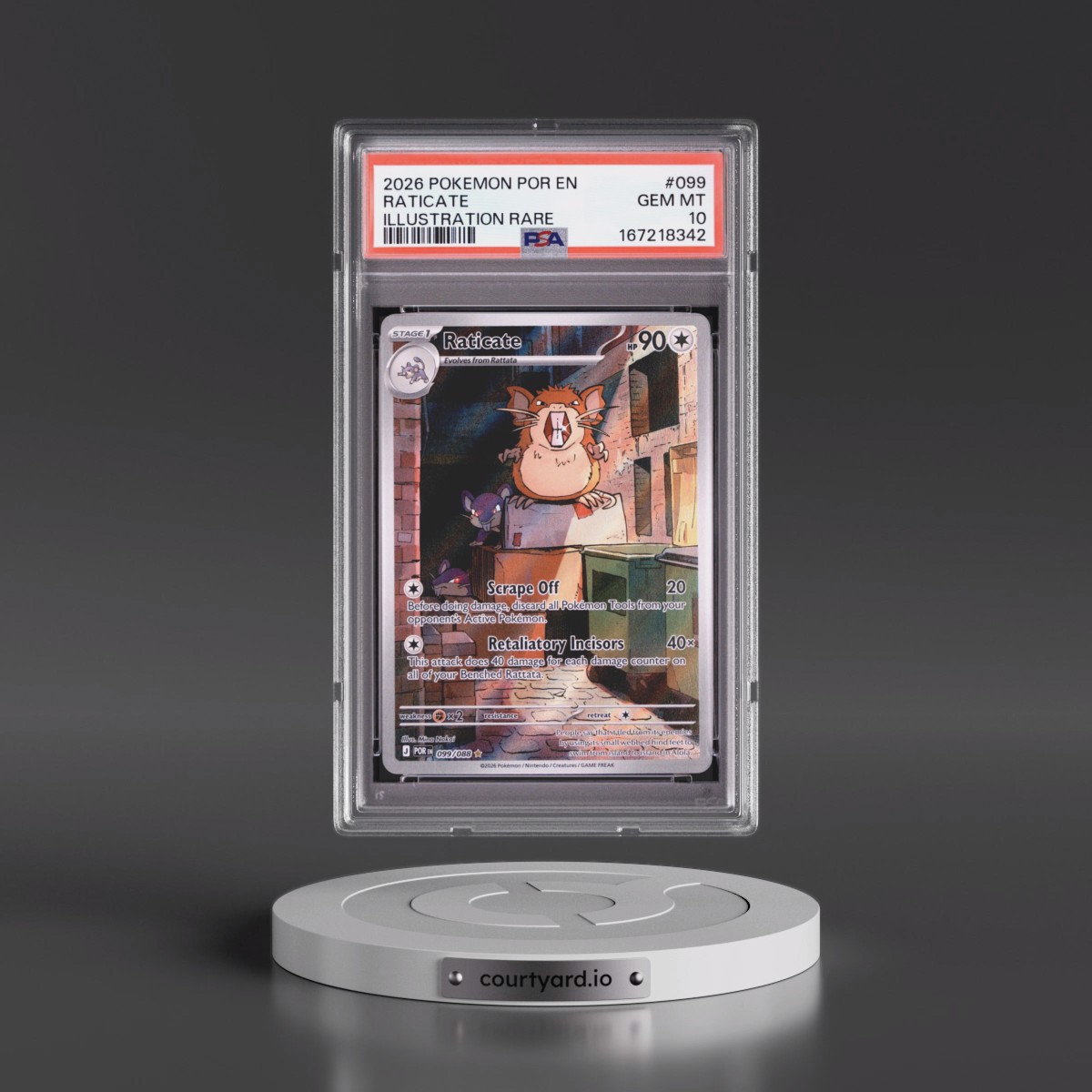 2026 Pokémon Por EN-Perfect Order #099 Raticate - Illustration Rare (PSA 10 GEM MINT)