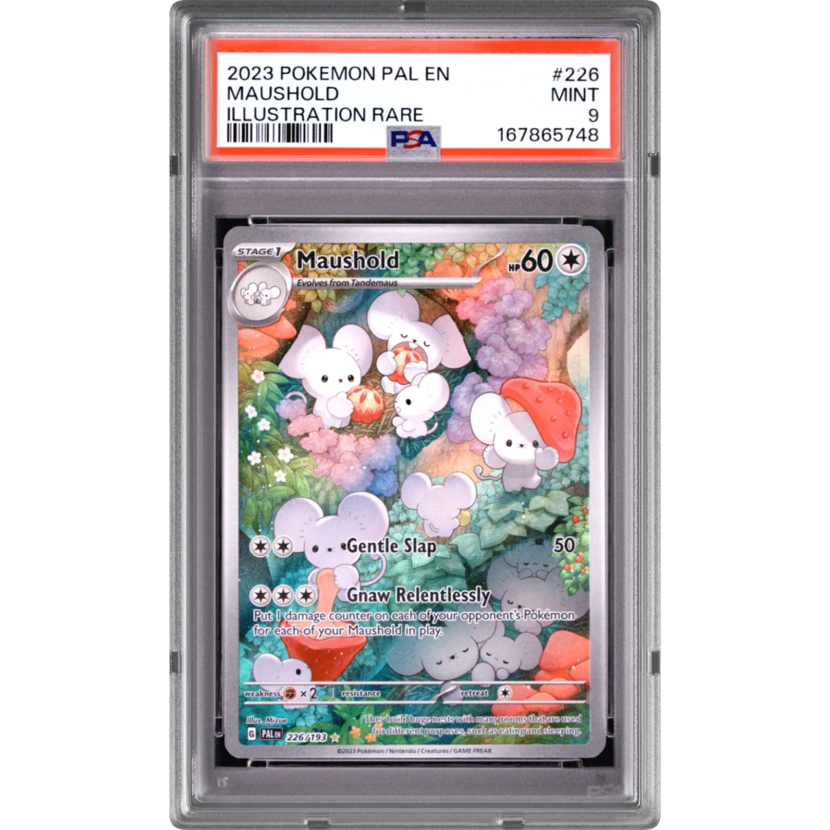 2023 Pokémon Pal EN-Paldea Evolved #226 Maushold - Illustration Rare (PSA 9 MINT)