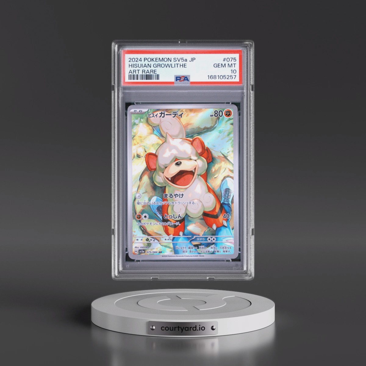 2024 Pokémon Sv5a-Crimson Haze #075 Hisuian Growlithe - Art Rare (PSA 10 GEM MINT)
