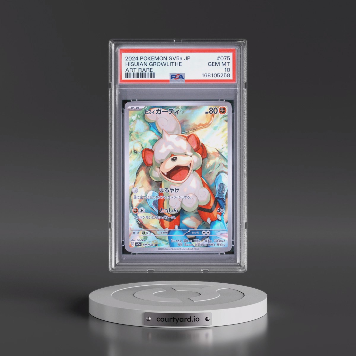 2024 Pokémon Sv5a-Crimson Haze #075 Hisuian Growlithe - Art Rare (PSA 10 GEM MINT)