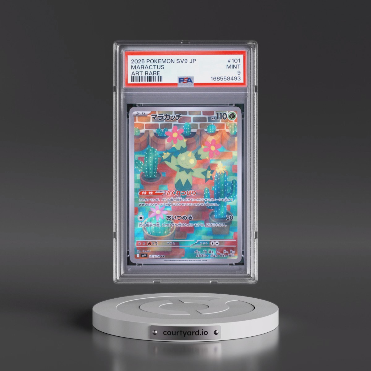 2025 Pokémon SV9-Battle Partners #101 Maractus - Art Rare (PSA 9 MINT)