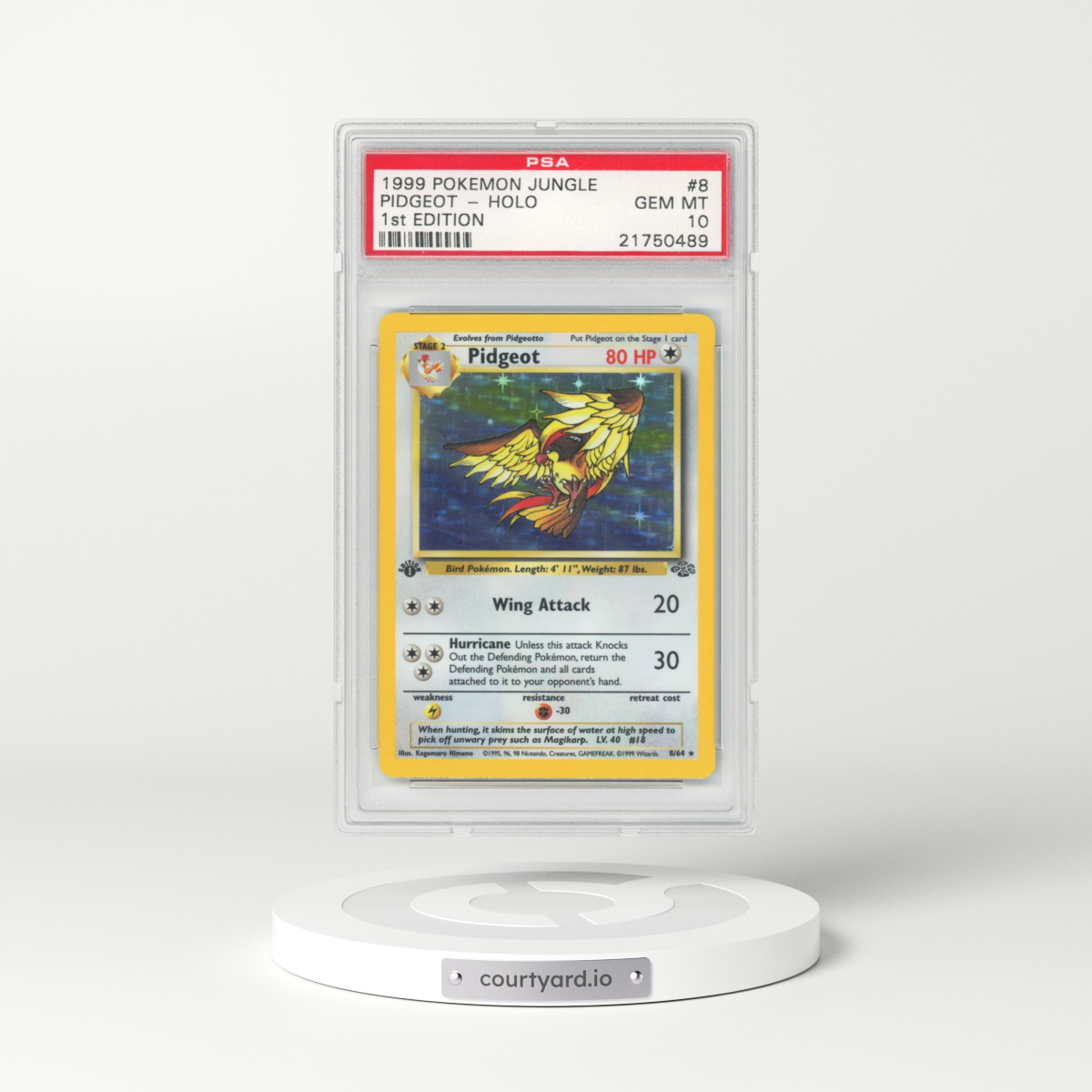 1999 Pokémon Jungle #8 Pidgeot - 1st Edition Holo (PSA 10 GEM MINT)