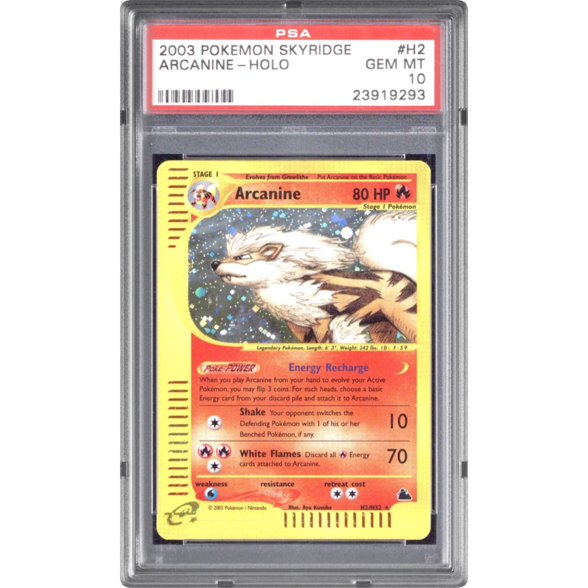 Arcanine card artwork