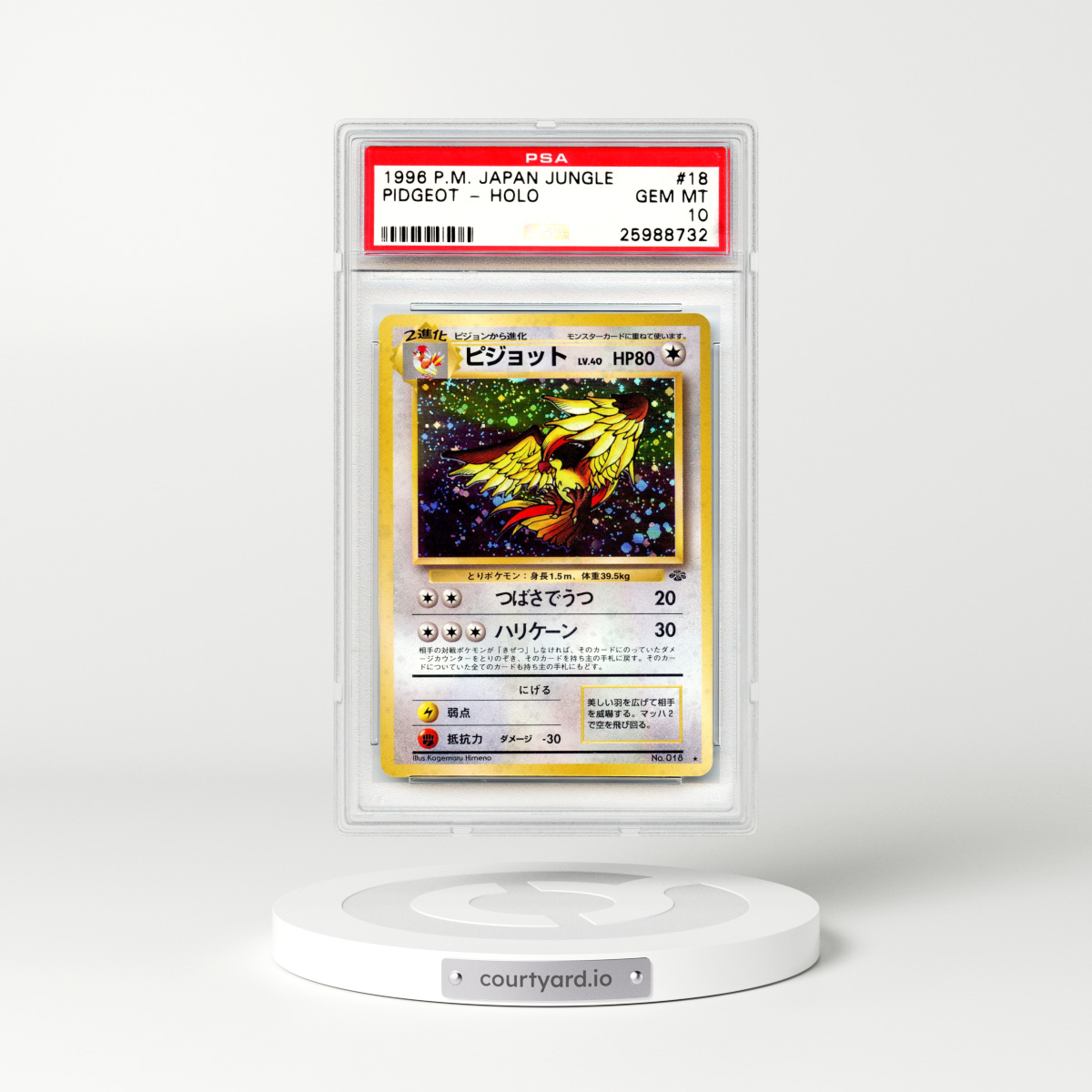 1997 Japanese Jungle #18 Pidgeot - Holo (PSA 10 GEM MINT)