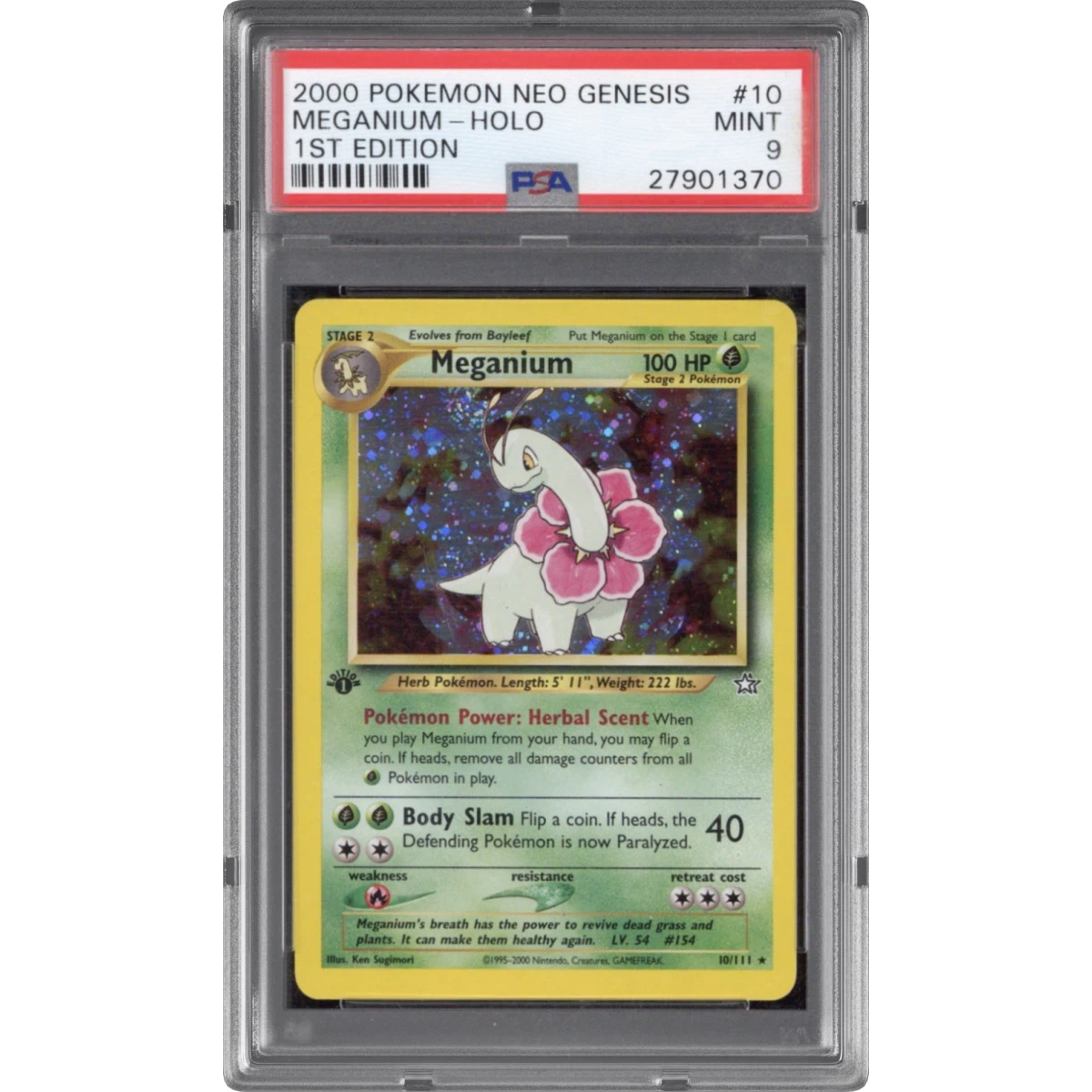 Meganium card artwork