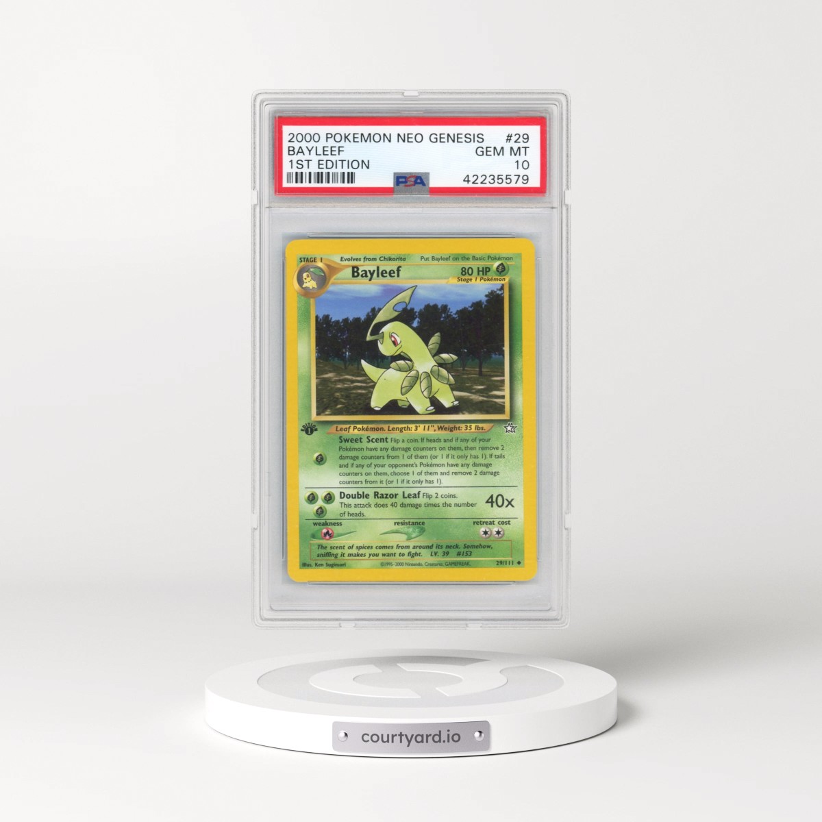 2000 Pokémon Neo Genesis #29 Bayleef - 1st Edition (PSA 10 GEM MINT)