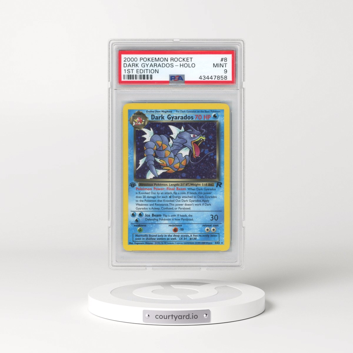 2000 Pokémon Rocket #8 Dark Gyarados - 1st Edition Holo (PSA 9 MINT)