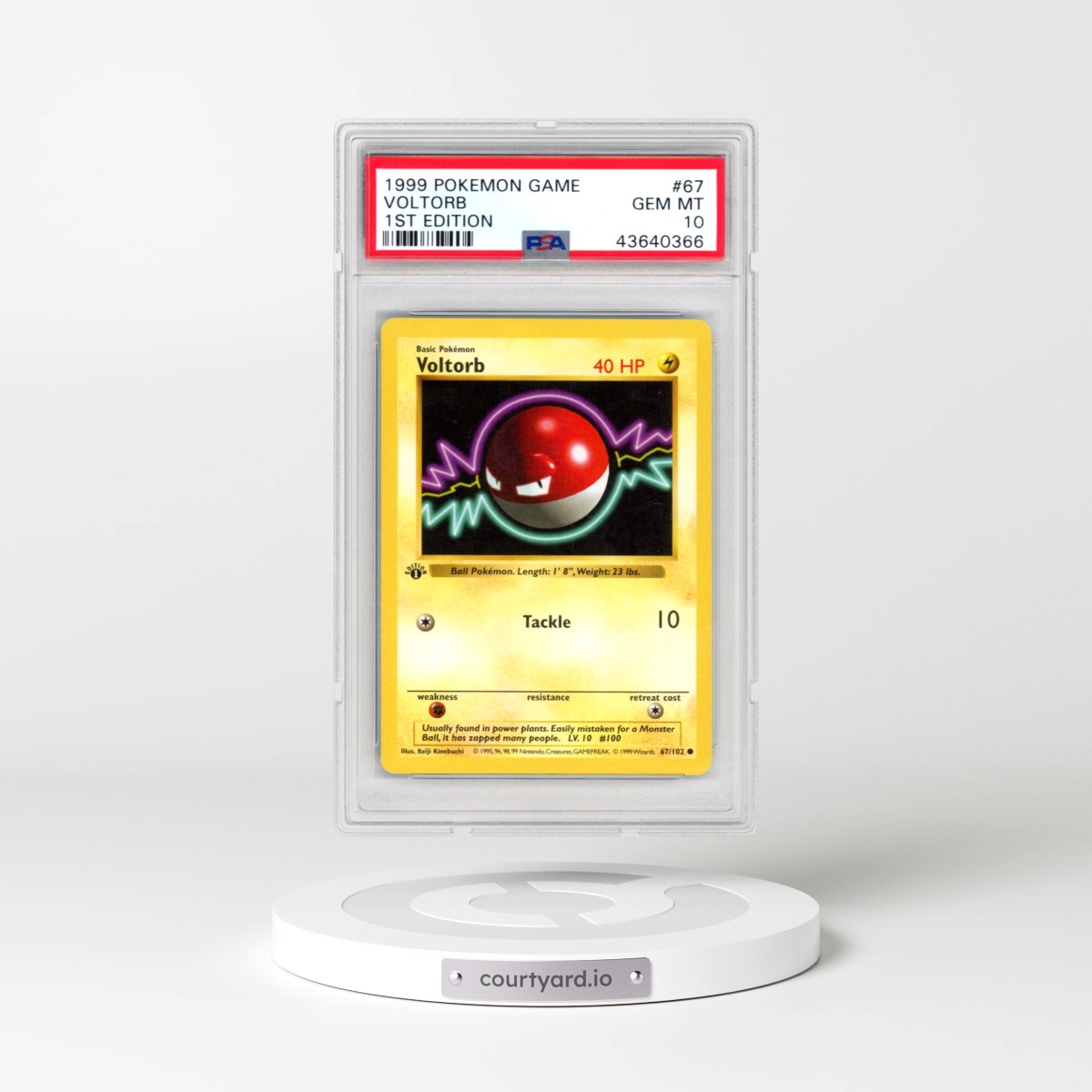 1999 Pokémon Game #67 Voltorb - 1st Edition (PSA 10 GEM MINT)
