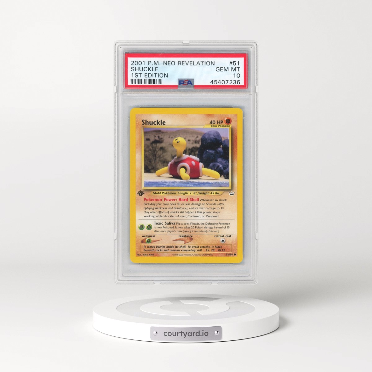 2001 Pokémon Neo Revelation #51 Shuckle - 1st Edition (PSA 10 GEM MINT)