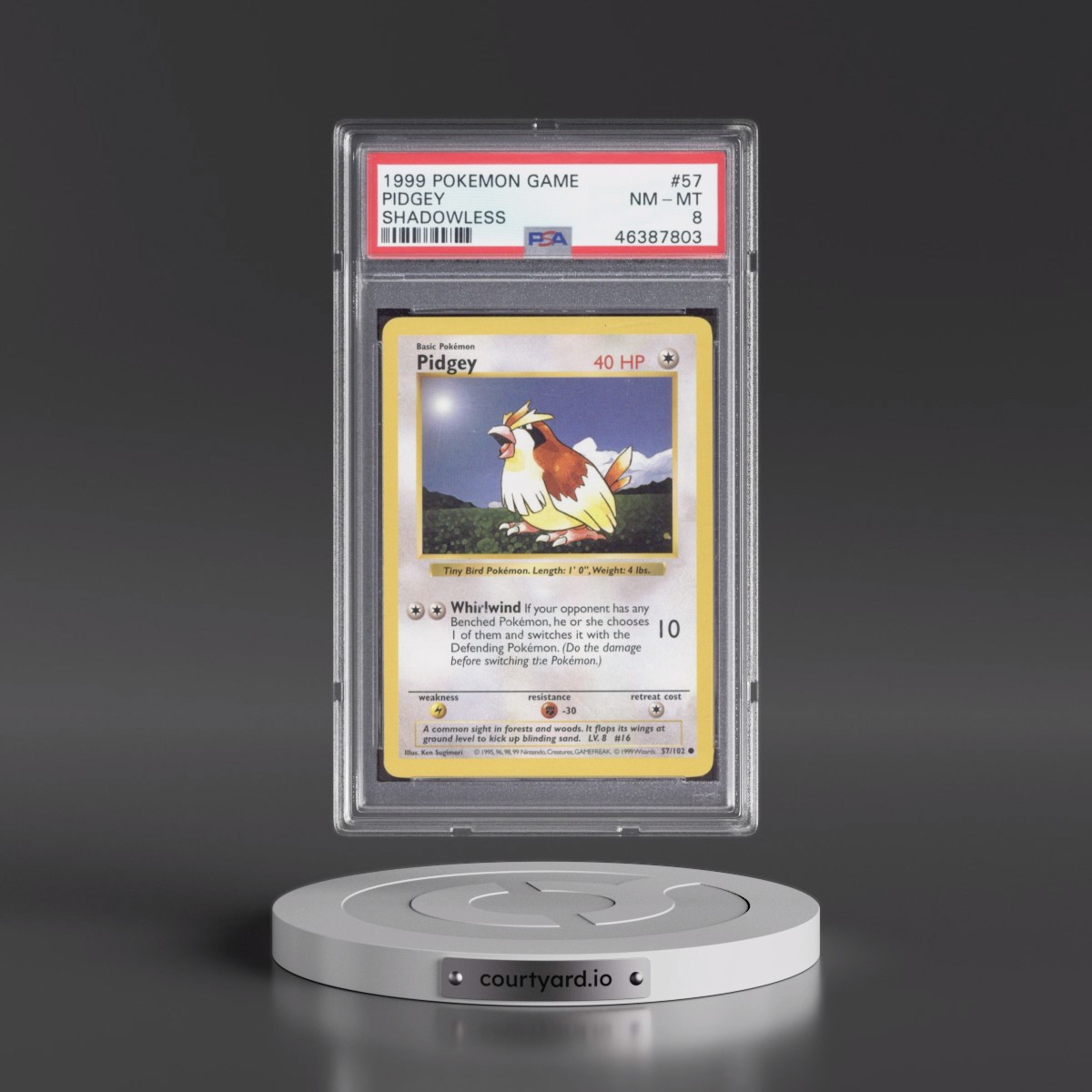 1999 Pokémon Game #57 Pidgey - Shadowless (PSA 8 NM-MT)